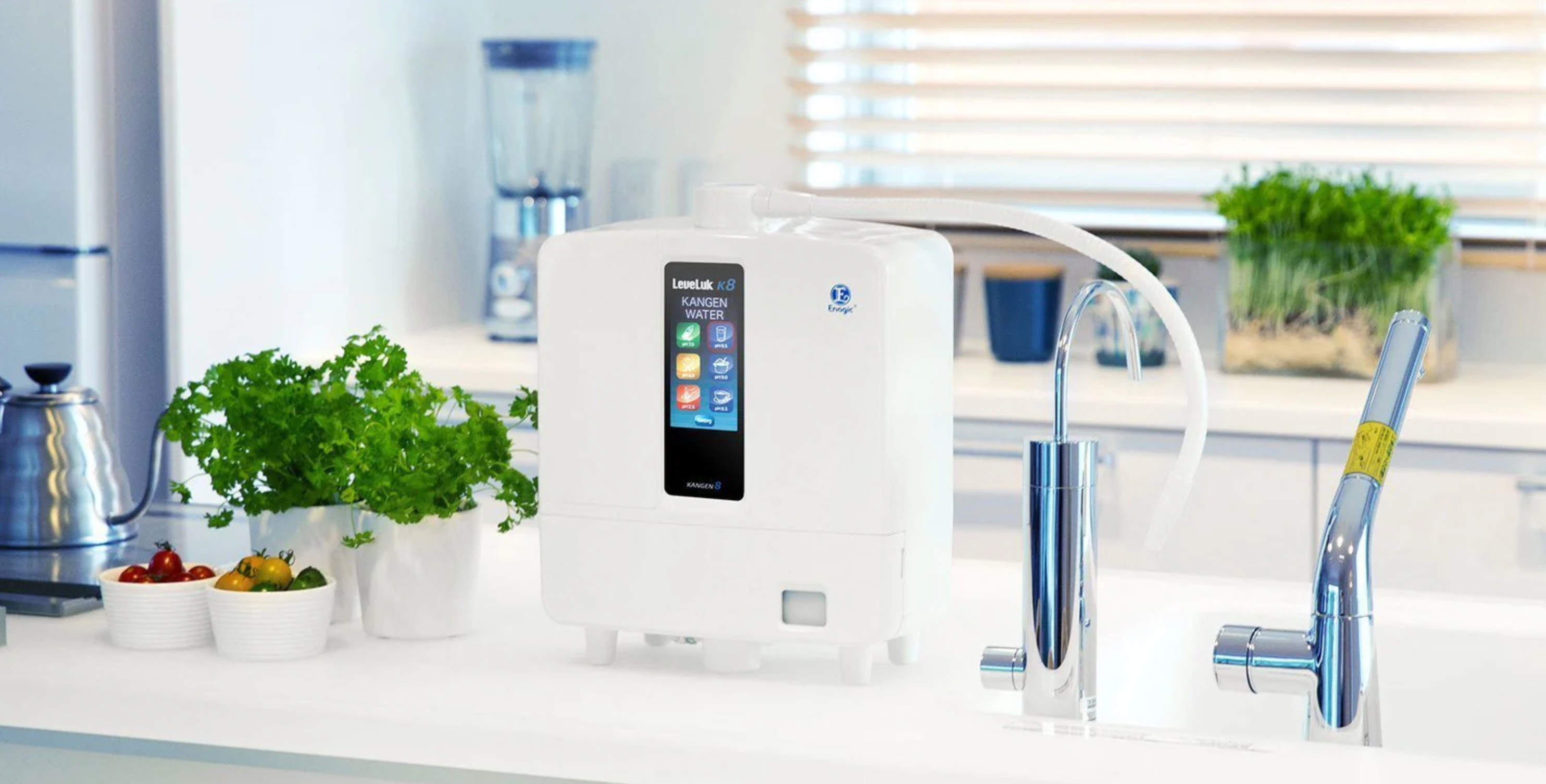 Kangen Water Machine Review: Is It Worth It? (2026)