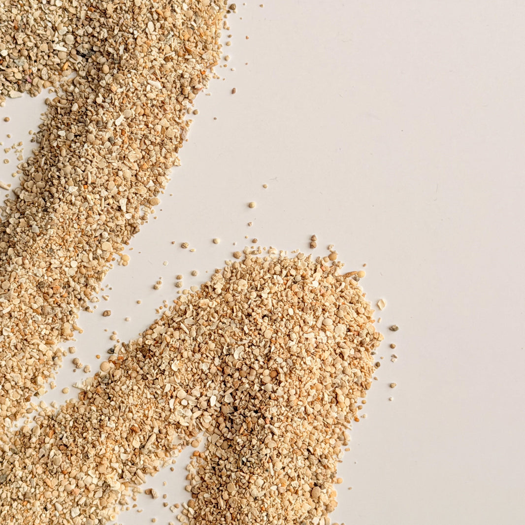 Alkaline Filter vs. Remineralization Filter: Which Does Your RO System Need?