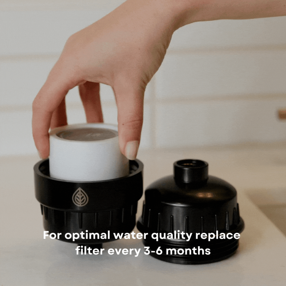 Optimal water quality change shower filter every 3-6 months