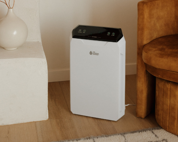 Untitled_design_38 - The Goodfor Company