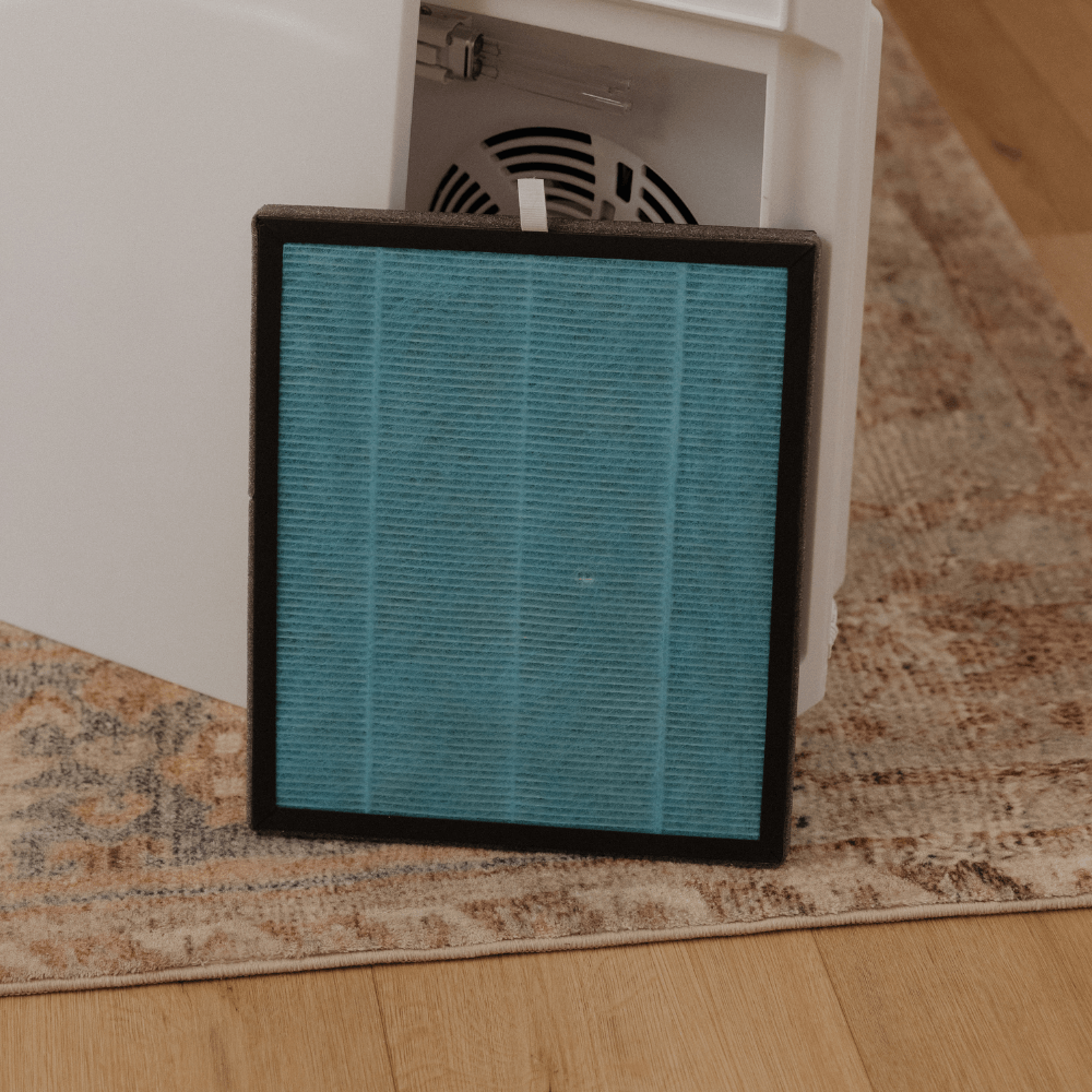 Air Filter Replacement Filter - The Goodfor Company