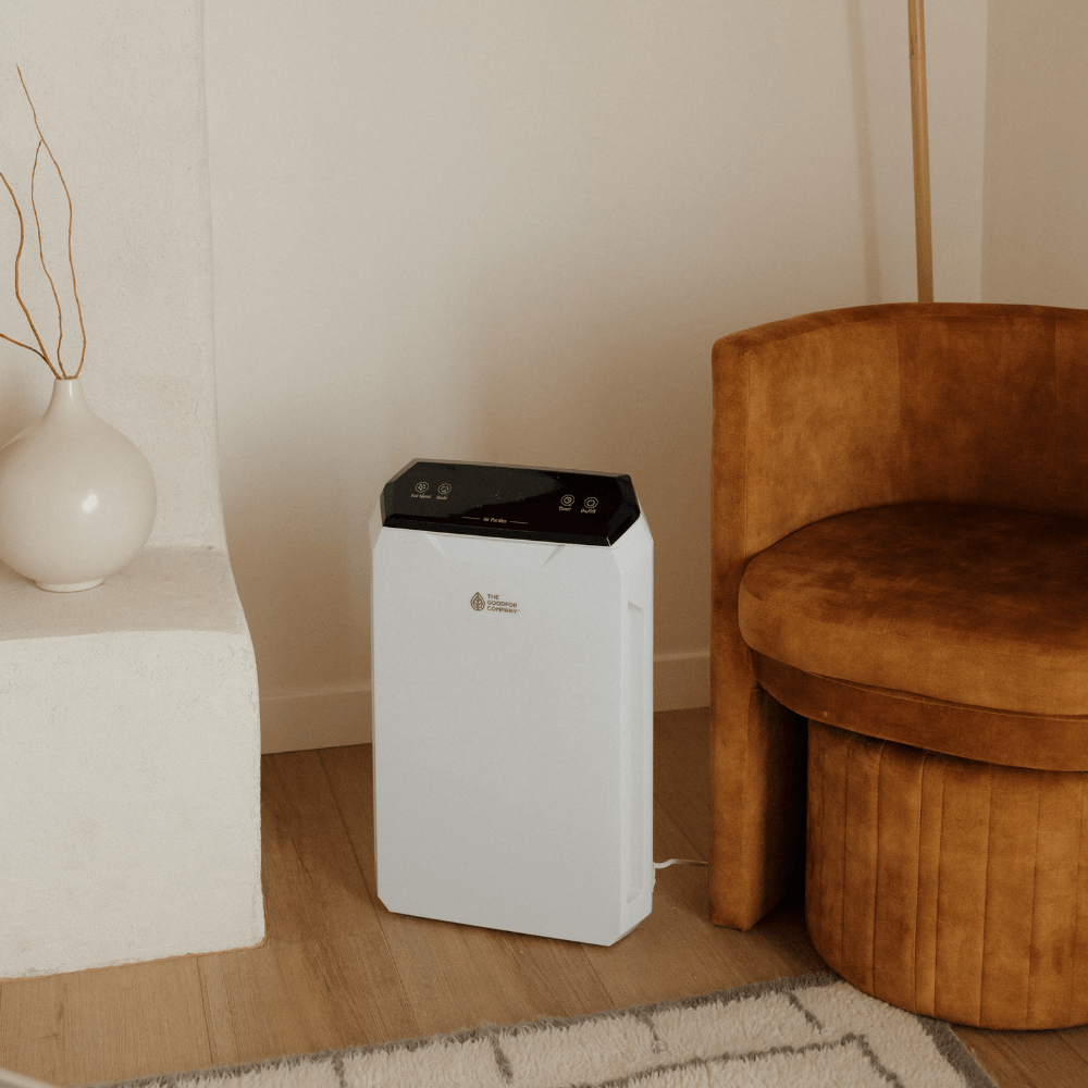 Kangen Water Machine: What to Consider Before Buying – The Goodfor Company